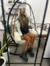 Botas sofi