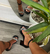 Sandalias Alma - comprar online