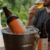 Cerveja Artesanal Locanda