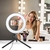 Ring Light 6” Polegadas LED com Tripé de Mesa + Suporte para Celular - comprar online