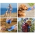 Garrafa Portátil para Pets 2 em 1 – Água 320ml + Ração 170ml para Cães e Gatos - comprar online