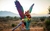 Tour Monte Alban - buy online