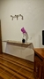 Airbnb: Tlalixtac Loft - online store