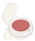 BLUSH GELATO BEAUTY UVINHA na internet