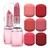 Batom Chrome Rose Vivai