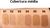 Corretivo Easy Correct Multiuso - Pink 21 - Matricardi Makeup