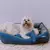 Imagem do Cama Pet Luxo com Travesseiro