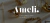 Imagem do banner rotativo Sou Ameli