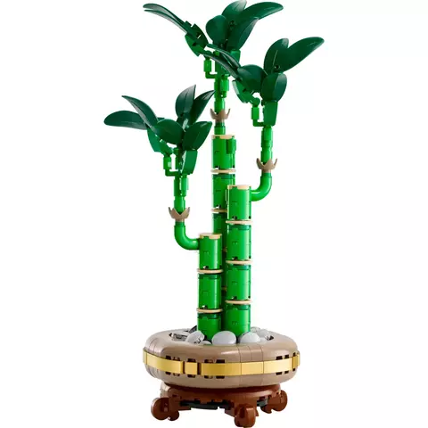 LEGO Botanicals Bambu da Sorte 10344
