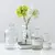 Vasos de vidro moderno decorativo, garrafa de plantas de vidro, vasos pequenos - loja online