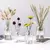 Vasos de vidro moderno decorativo, garrafa de plantas de vidro, vasos pequenos na internet