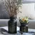 Vaso Hidroponia com Vaso De Vidro Nórdico, Preto, Planta, Flor, Decoração - comprar online