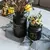 Imagem do Vaso Hidroponia com Vaso De Vidro Nórdico, Preto, Planta, Flor, Decoração