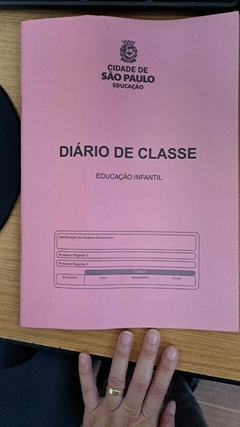 DIÁRIO DE CLASSE (CEI) CENTRO DE EDUCAÇÃO INFANTIL NOVO MODELO ROSA TAIP - loja online