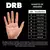 Imagen de Guantes de Arquero DRB | Feline EVO Sr