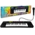 PIANO INFANTIL COM MICROFONE TECLADO KARAOKE MUSICAL 32 TECLAS DIDATICO ESTILO P - loja online