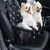 CADEIRINHA PET ASSENTO CADEIRA CARRO PARA CAO GATO CACHORRO PASSEIO TRANSPORTE C - comprar online