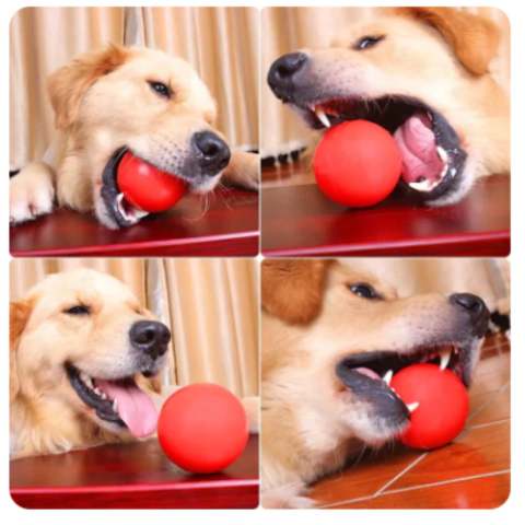 Pelota Resistente en Goma Maciza tipo Kong - comprar en línea