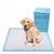 Tapete Cachorro 60 x 60 - comprar online