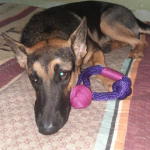 Súper resistente! muy bueno para llevar donde vayamos