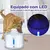 Bebedouro Automático para Gatos e Cães Lorben 2,4L com LED, Filtro e USB na internet