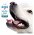 Enjuague Bucal Perros Gatos Control Mal Aliento Bioclin 250ML - comprar online