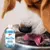 Enjuague Bucal Perros Gatos Control Mal Aliento Bioclin 250ML en internet