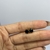 Brinco Ponto de Luz Zicornia Preto Banhado a Ouro 18k na internet