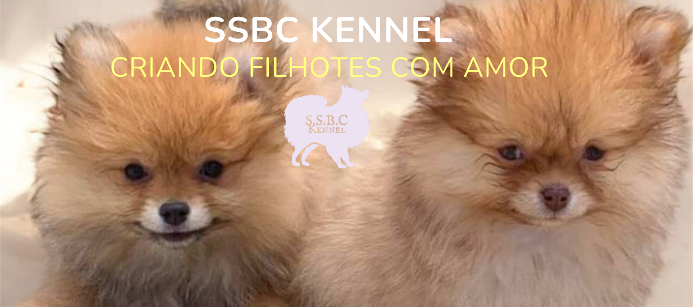 Carrusel SSBC KENNEL