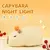 Bonito dos desenhos animados capivara silicone luz da noite usb recarregável cr - comprar online