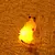 Imagem do Luz Noturna Brilhante Pikachu - TAKARA TOMY