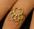 Anel Pata Vazada Amor de Pata Banhado a Ouro 18k Antialérgico – Golden Sisters - comprar online