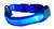 Collar para Mascotas con Luz Led -Celeste - TIENDA EN CASA