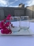 6 COPON VASO GOURMET RIGOLLEAU en internet