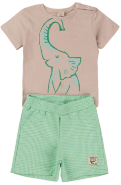 Conjunto Elefante - comprar online