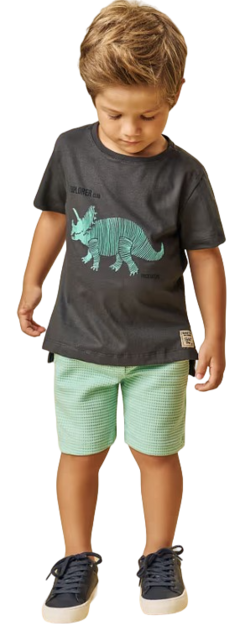 Conjunto Triceratops