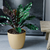 Maceta Plástica Nórdica Premium Decorativa Moderna MEDIANA 22CC - ARUBA.AR MAYORISTA