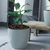 Maceta Plástica Nórdica Premium Decorativa Moderna MEDIANA 22CC