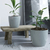 Maceta Plástica Nórdica Premium Decorativa Moderna MEDIANA 22CC - comprar online
