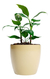 Maceta Plástica Nórdica Premium Decorativa Moderna MEDIANA 22CC - comprar online
