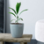 Maceta Plástica Nórdica Premium Decorativa Moderna MEDIANA 22CC - ARUBA.AR MAYORISTA