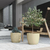 Maceta Plástica Nórdica Premium Decorativa Moderna GRANDE 27CC - tienda online
