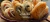 Banner de Harinas y Aromas