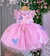 Vestido Marie Rosa Jardim Encantado Laço (VESTMRKKDSROSJDEN2)