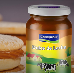 Dulce de Leche Conaprole de 440 gr. en internet