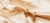 Imagem do banner rotativo Luminus Joias