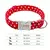 Collar personalizado para perro con placa grabada | Brilla en la oscuridad | 4 colores