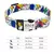 Collar personalizado para perro con placa grabada | Brilla en la oscuridad | 4 colores - tienda en línea