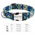 Collar personalizado para perro con placa grabada | Brilla en la oscuridad | 4 colores - Pet Shop Pets | Accesorios para mascotas