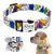 Imagen de Collar personalizado para perro con placa grabada | Brilla en la oscuridad | 4 colores